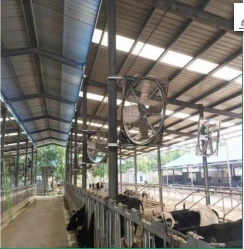 28 "Greenhouse Cowshed pandye senti fanatik
