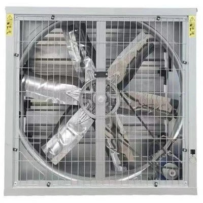 Xincan machin 50inch echapman mato fanatik